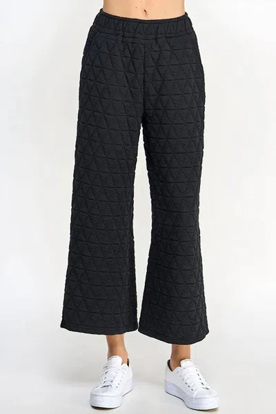See And Be Seen Vail Quilted Pants In Black