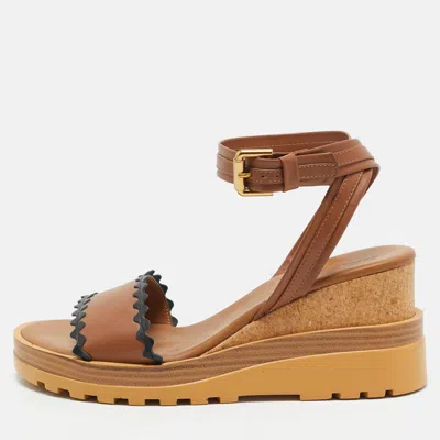 Pre-owned See By Chloé Brown Leather Cork Wedge Platform Ankle Strap Sandals Size 40