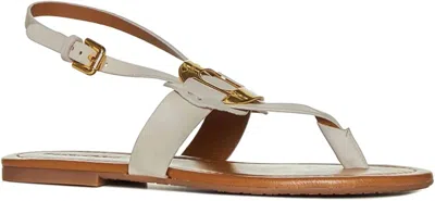 Pre-owned See By Chloé See By Chloe Chany 101 For Women In Natural