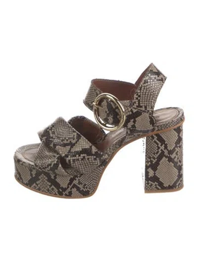 Pre-owned See By Chloé Embossed Leather Animal Print Sandals In Neutral
