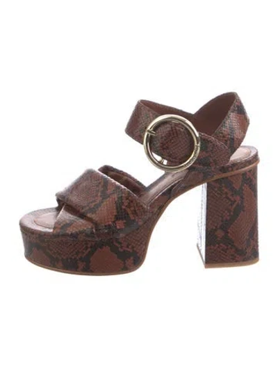 Pre-owned See By Chloé Leather Animal Print Sandals In Brown