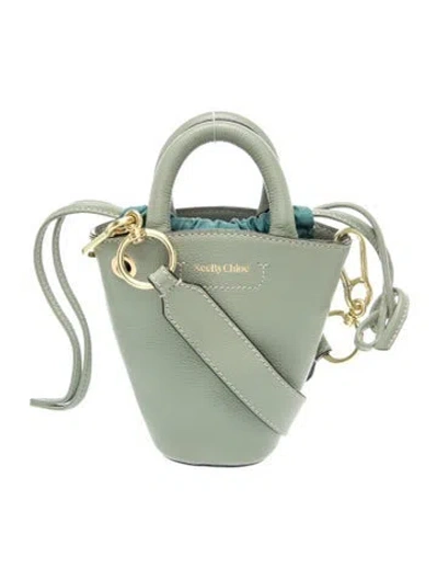 Pre-owned See By Chloé Leather Bucket Bag In Green