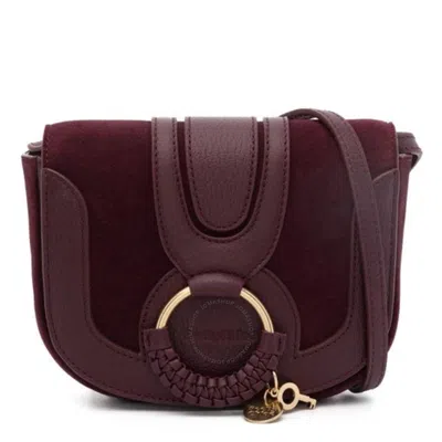 See By Chloé See By Chloe Mini Hana Shoulder Bag In Brown