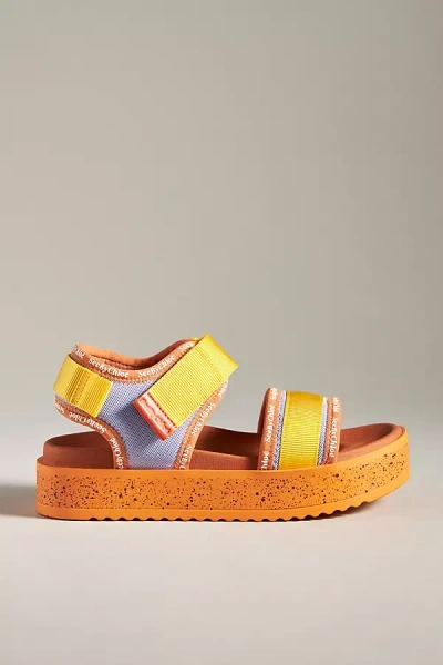See By Chloé Pipper Sport Sandals In Multicolor