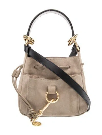 Pre-owned See By Chloé Suede Bucket Bag In Neutral