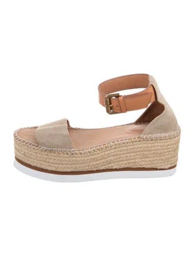 Pre-owned See By Chloé Suede Espadrilles In Blue/neutrals