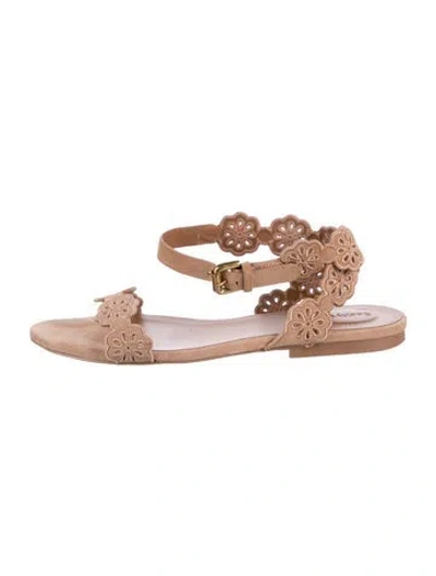 Pre-owned See By Chloé Suede Floral Print Flats In Neutrals