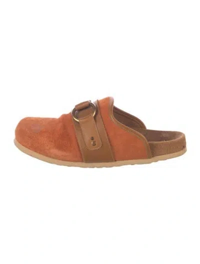 Pre-owned See By Chloé Suede Leather Trim Embellishment Mules In Multi