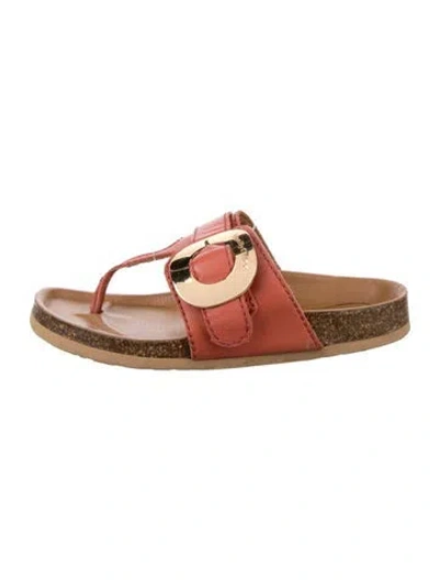Pre-owned See By Chloé Suede Sandals In Brown