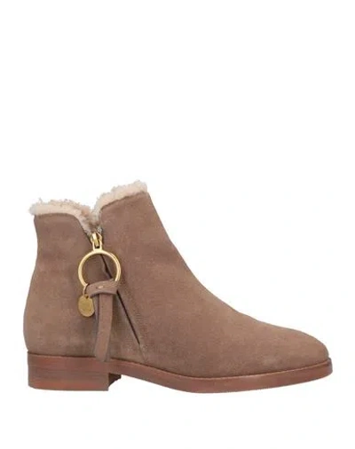 See By Chloé Woman Ankle Boots Dove Grey Size 6 Leather, Shearling In Brown
