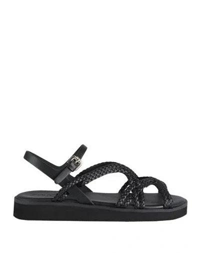 See By Chloé Woman Sandals Black Size 8 Leather