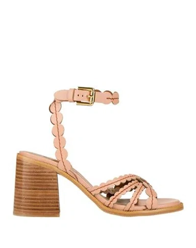 See By Chloé Woman Sandals Blush Size 5.5 Calfskin In Black