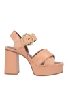 See By Chloé See By Chloe Lyna Heels Taupe Sb36033a 134 In Pink