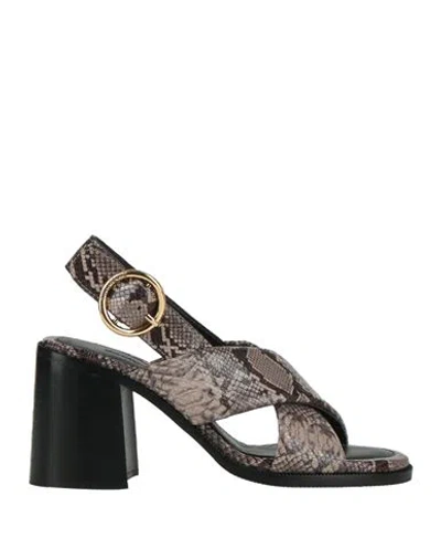 See By Chloé Woman Sandals Grey Size 7 Calfskin
