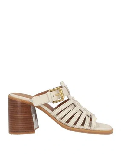 See By Chloé Woman Sandals Ivory Size 7 Leather In Multi
