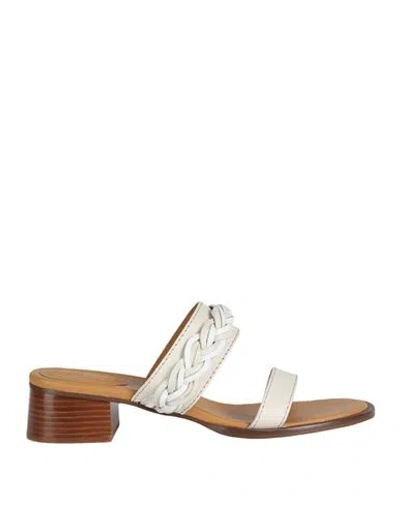 See By Chloé Woman Sandals Off White Size 8 Calfskin
