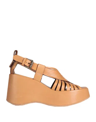See By Chloé Woman Sandals Tan Size 7 Calfskin In Brown