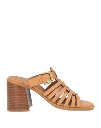 See By Chloé Woman Sandals Tan Size 7 Leather In Brown