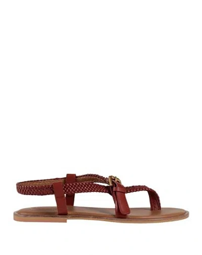 See By Chloé Woman Thong Sandal Brick Red Size 8 Leather