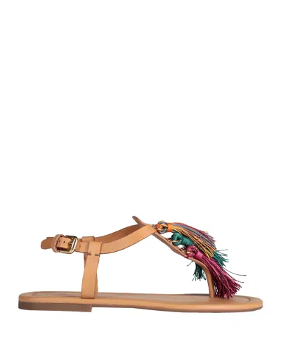 See By Chloé Woman Thong Sandal Tan Size 8 Calfskin In Brown