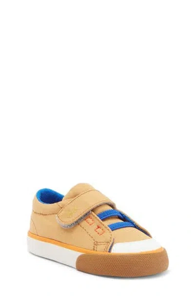 See Kai Run Kids' Alex Sneaker In Khaki