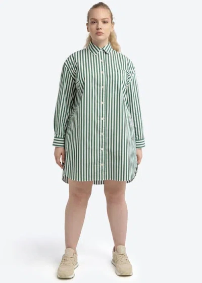 See Rose Go Poplin Tunic Shirt Dress Plus Size In Palm Green Stripe