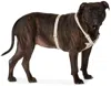 See Scout Sleep Gray The Scot Extra Large Original Harness In Clay