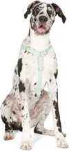 See Scout Sleep Green The Scot Large Original Harness In Light Green