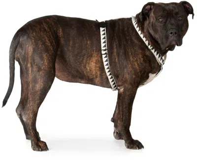 See Scout Sleep Off-white & Black Extra Large Nice Grill Standard Harness In Cream Hemp + Black H