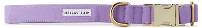 See Scout Sleep Purple The Scot Large Standard Dog Collar In Lilac