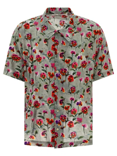 Séfr Noam Floral Short Sleeve Button-up Shirt In Patterned Blue