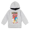Sega Pullover Hoodie In Gray