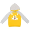 Sega Kids'  Sonic The Hedgehog Pullover Hoodie In Multi