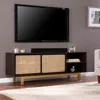 Sei Carondale Sliding Door Media Stand