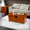 Sei Pyramid Lift-top Trunk Coffee Table