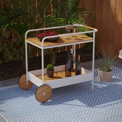 Sei Randburg Outdoor Bar Cart With Storage