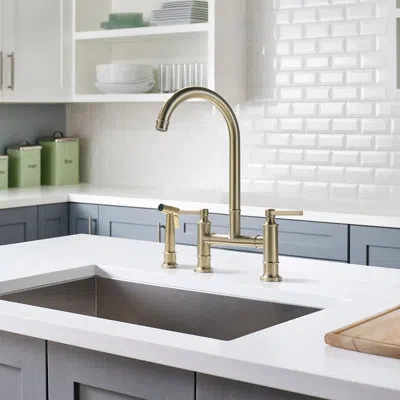 Selected Bridge Double Handles Kitchen Faucet With Side Spray In Brushed Gold
