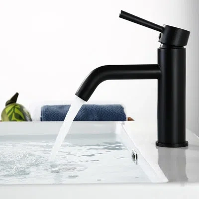 Selected One Lever Handle Single Hole Faucet In Black
