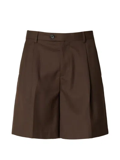 Selected Pleated Shorts In Brown