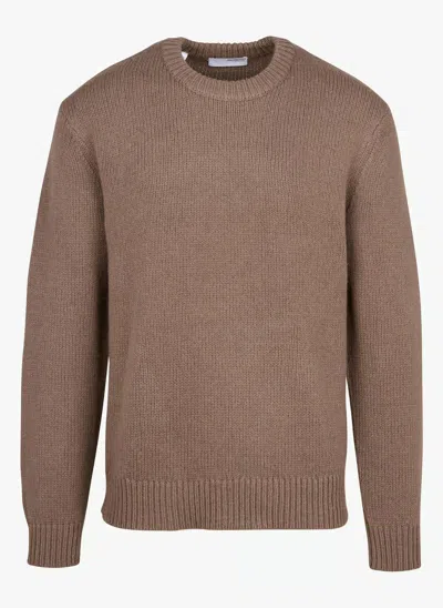 Selected Shirts Man  16094643 In Brown