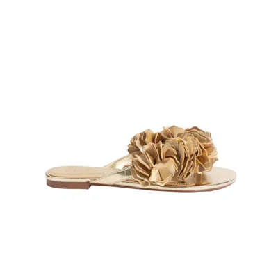 Selena Selena Women's The Florist Flat Sandal In Gold In Brown