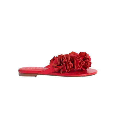 Selena Selena Women's The Florist Flat Sandal In Red