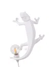 Seletti Chameleon Going Up Usb Lamp