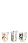Seletti Set 3 Bicchieri 'hybrid Aglaura'  X Ctrlzak In White