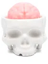 Seletti X Propaganda Brain Wash Soap Holder (11cm X 15cm) In White