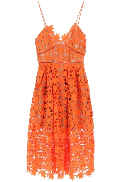 Self-portrait Orange Azaelea Floral-lace Midi Dress