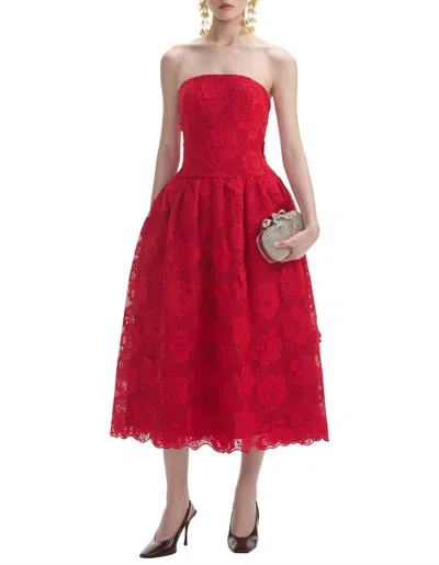 Self-portrait Bandeau Lace Midi Dress In Red In Animal Print