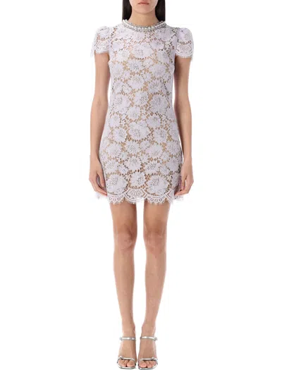 Self-portrait Lace A Line Mini Dress Crystal Collar In Gray