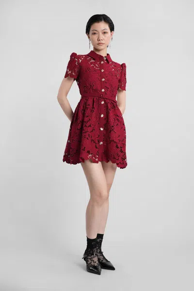 Self-portrait Burgundy Mini Dress With Lace Collar In Gold