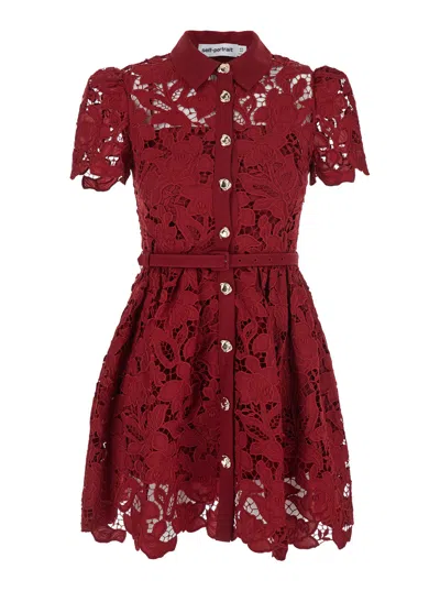 Self-portrait Women Burgundy Lace Collared Mini Dress In Red